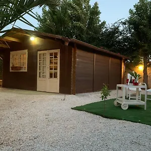 The Memory Of Trees Casa vacanze Marsala
